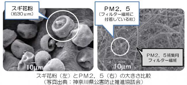 花粉と比較したPM2.5の大きさ