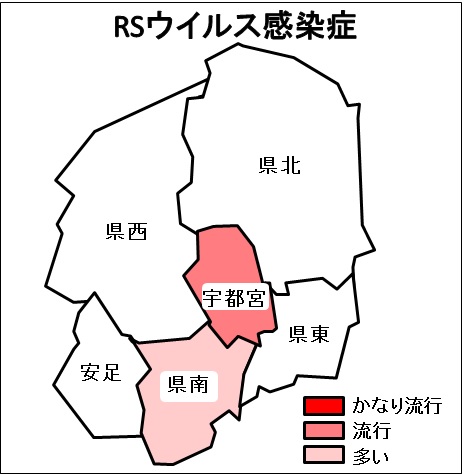 ryukou4