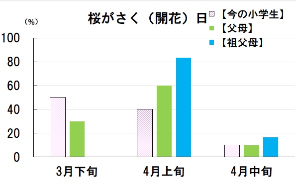 桜がさく（開花）時期の比較のグラフ