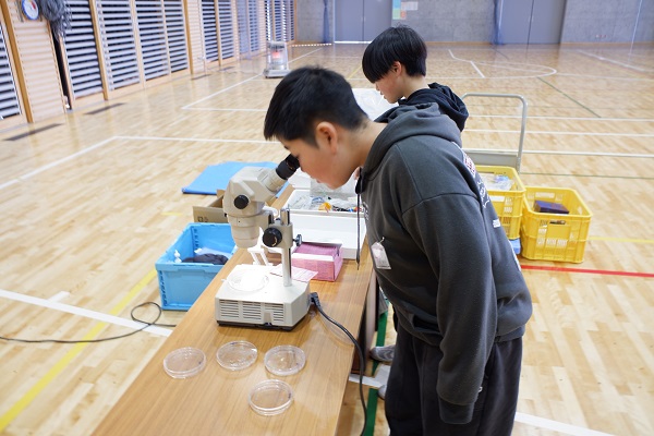 県の調査で確認されたプラスチックを顕微鏡で観察する様子