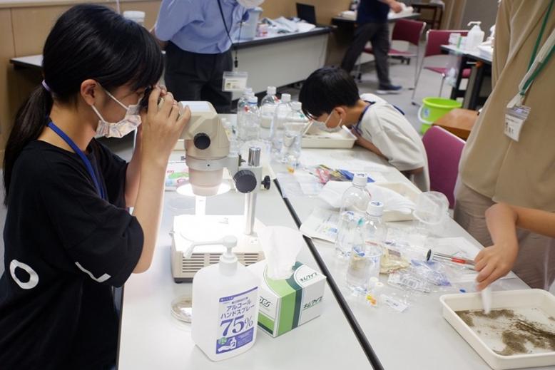 マイクロプラスチックの観察の写真