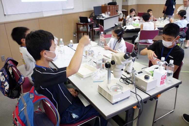 プラスチック容器包装の浮き沈み実験の様子