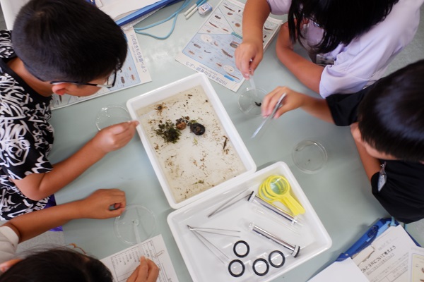 水生生物を観察する様子