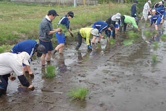 0402taue