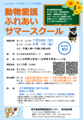 サマースクールチラシ