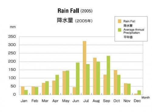 Utsunomiya Rain Fall(2005)