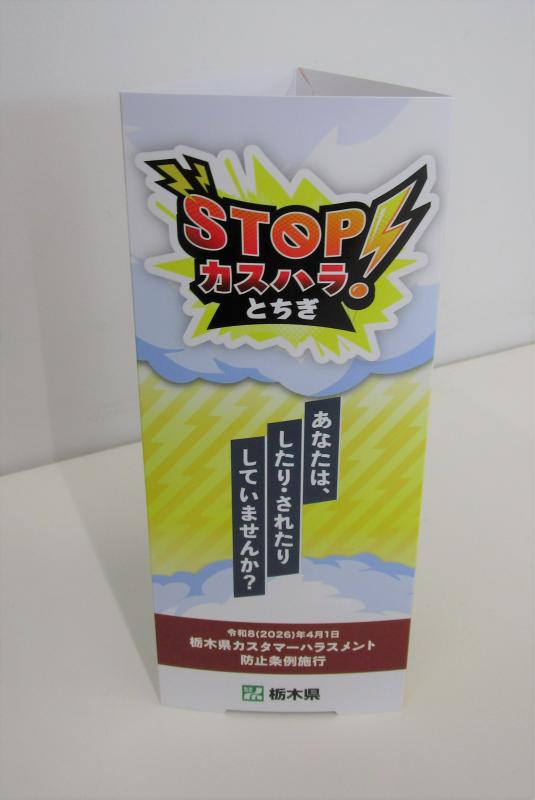 立体イメージ☆