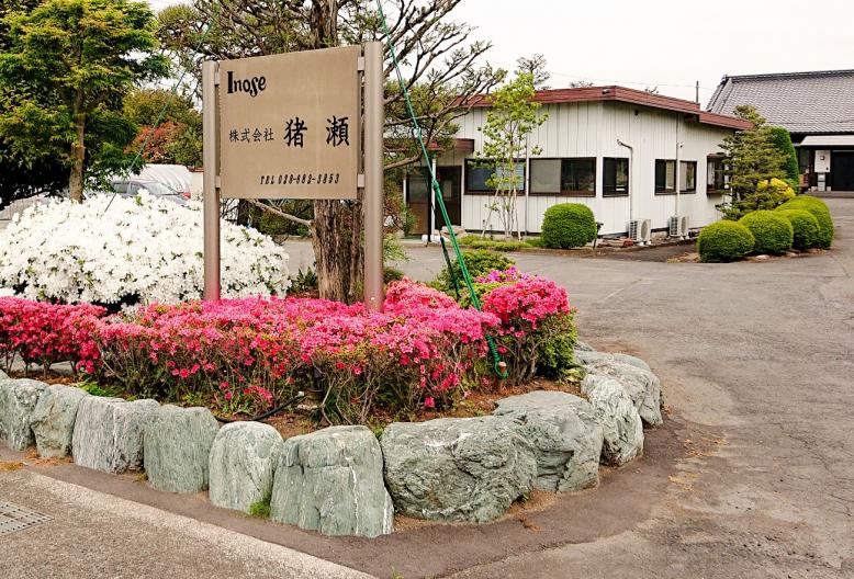 猪瀬2