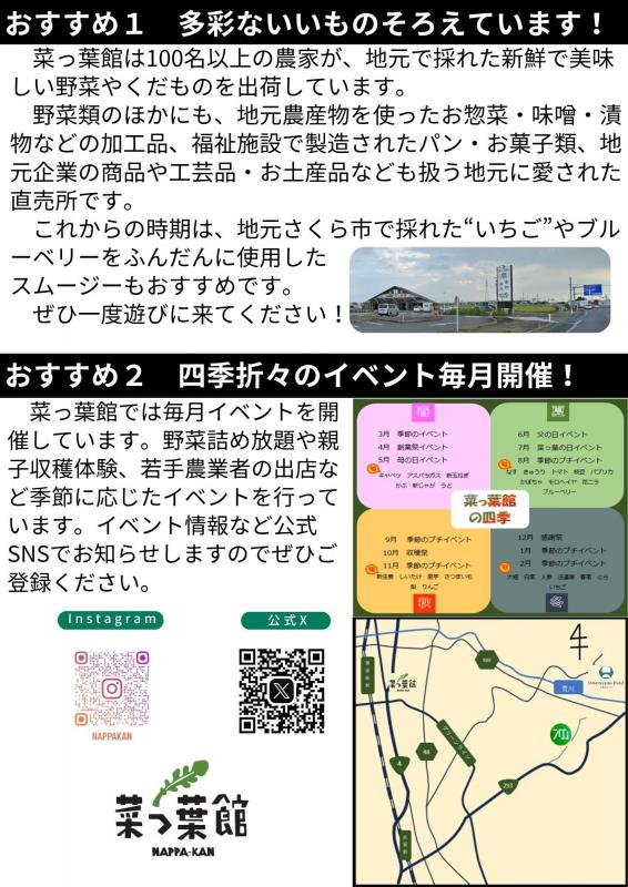 菜っ葉館チラシ裏