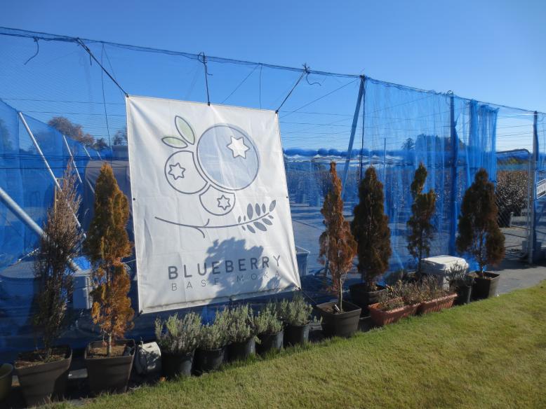 分科会１写真８