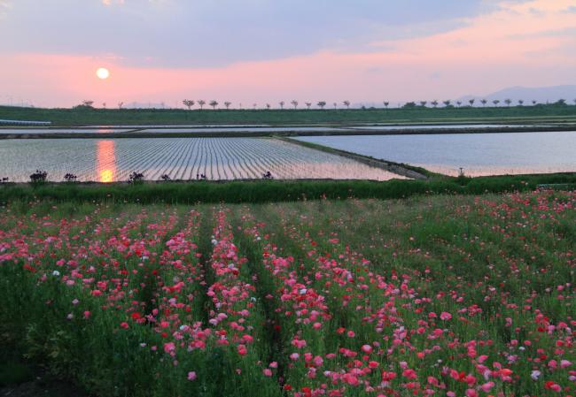 小山市間々田1