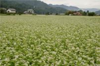 佐野市牧町