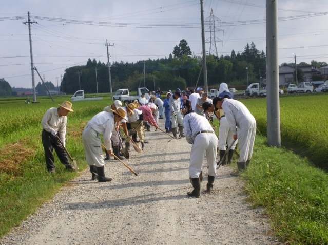 路面維持