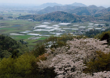 栃木市大平町西山田