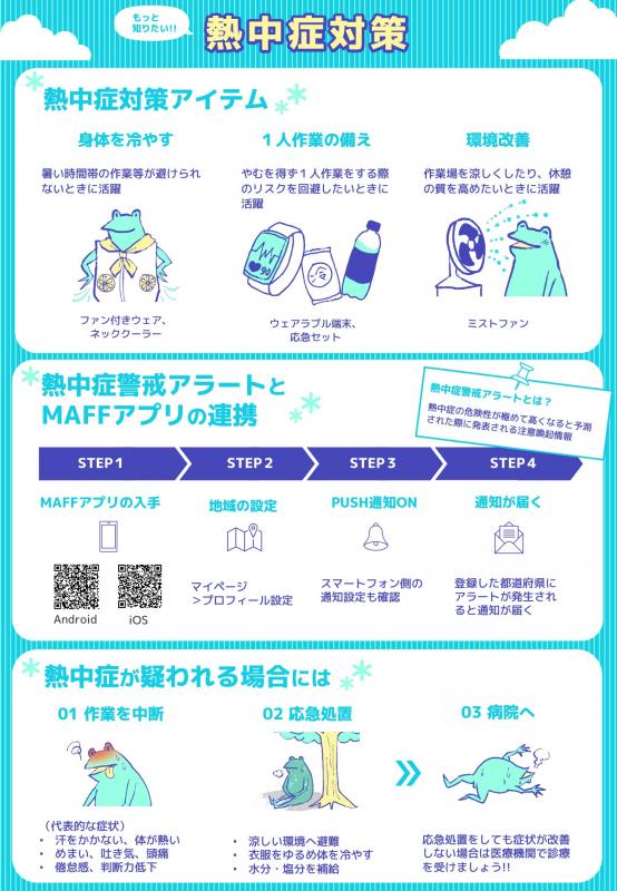 熱カエル2