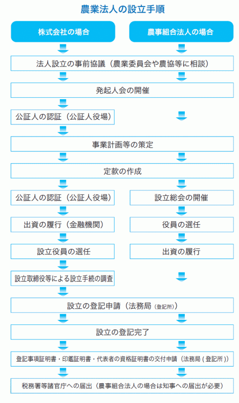 農業法人の設立手順