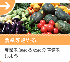 農業参入の手順