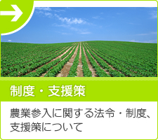 制度・支援策