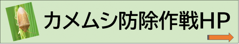 カメムシ防除作戦です