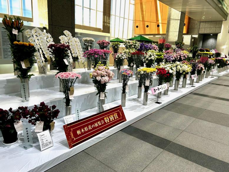 県花展