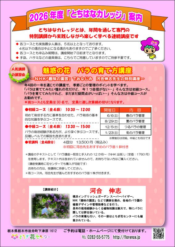 チラシ1