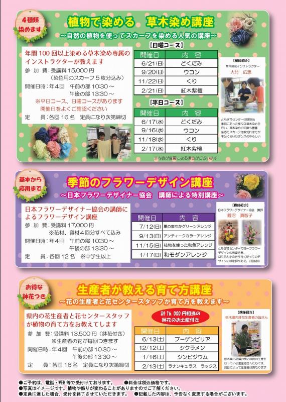 チラシ2