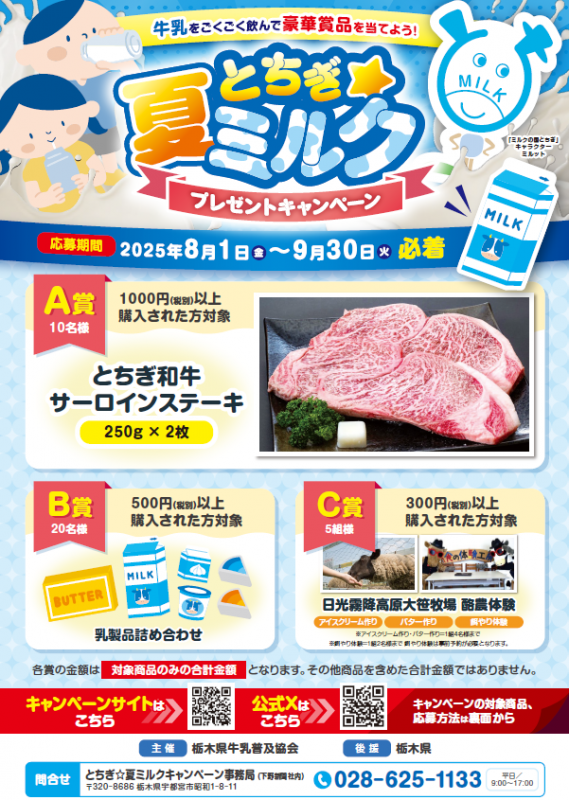 flyer1
