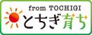tochigisodati
