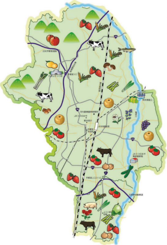 河内地域の地図