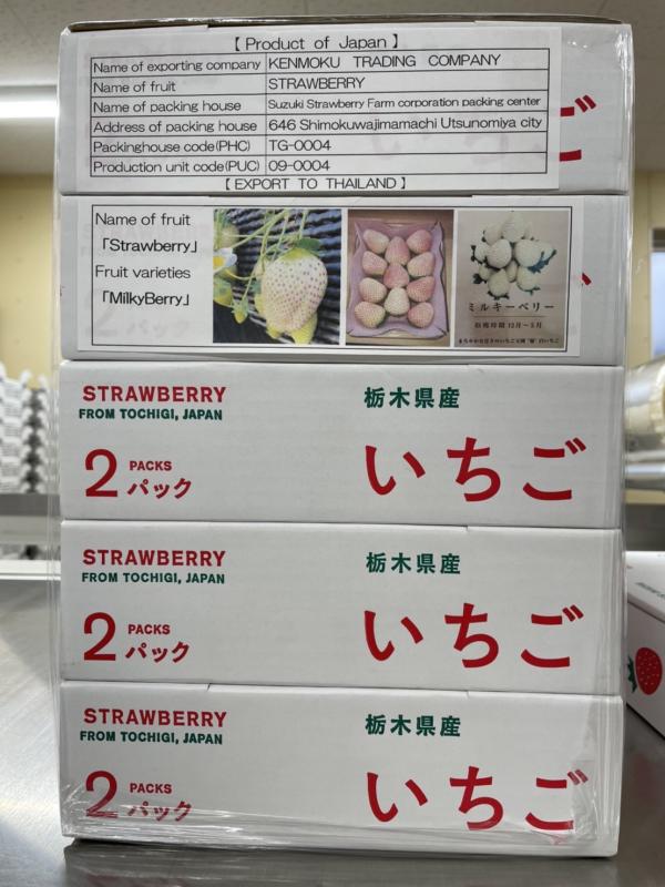 いちごの箱はくずれないようにぐるぐる巻きに