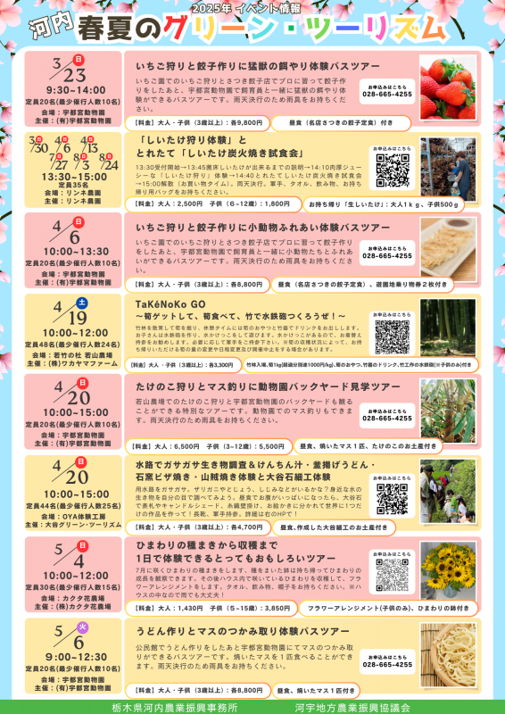 チラシおもて