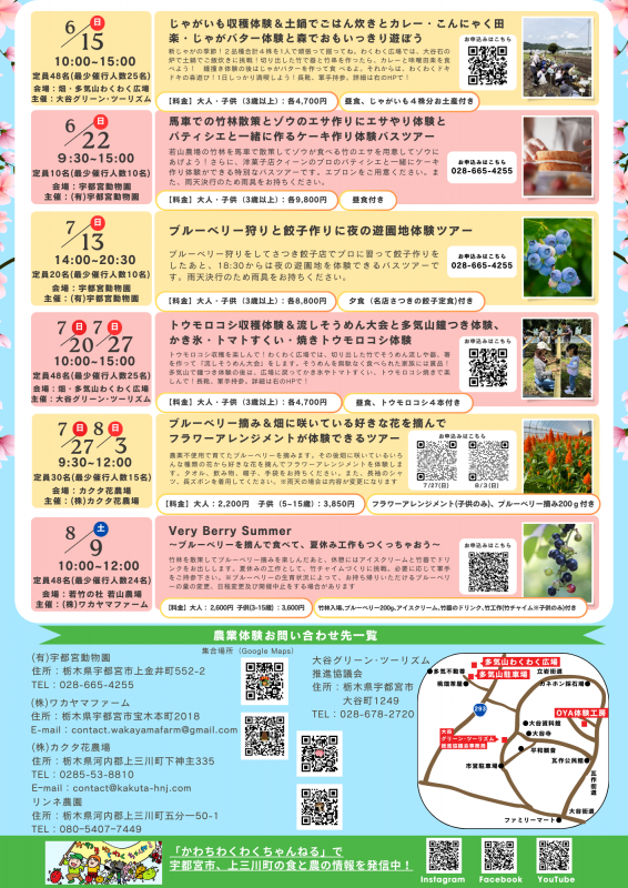 チラシうら