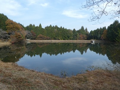 ため池の写真