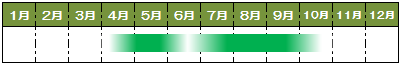 旬カレンダーアスパラガス