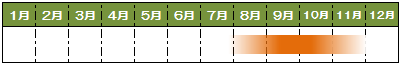 旬カレンダーなし