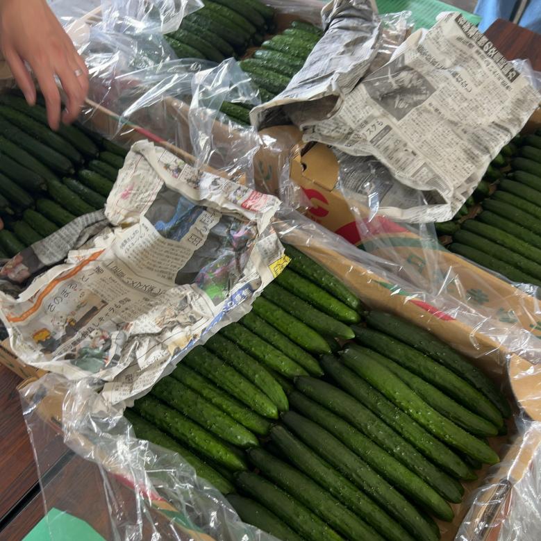 出荷物