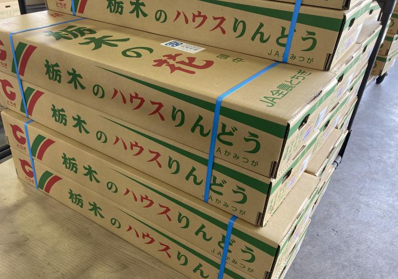 箱詰めされた出荷を待つりんどう