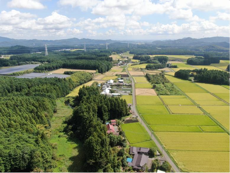 薄井沢