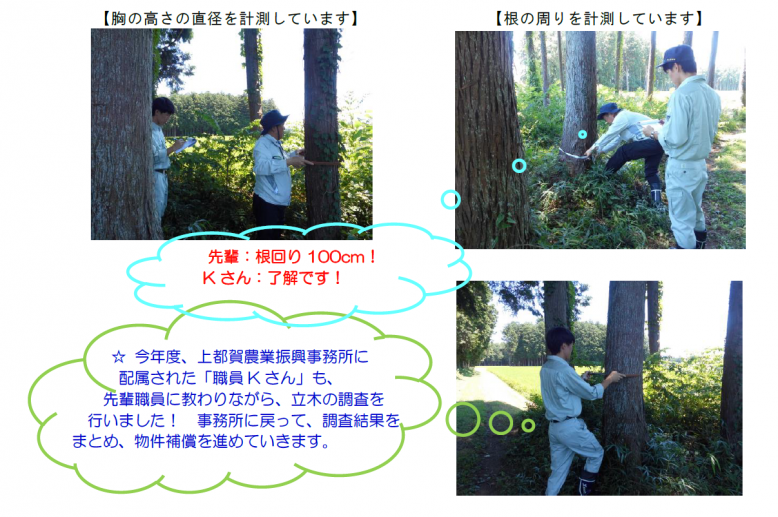 立木補償写真