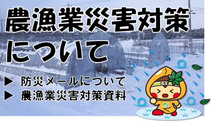 農漁業災害対策について