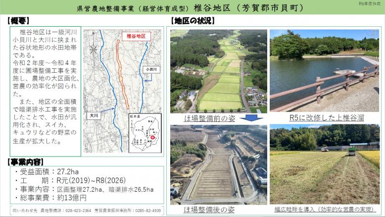 椎谷一枚概要