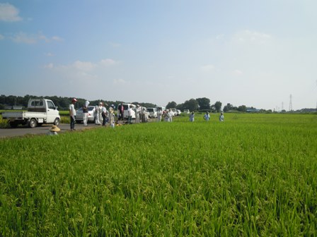 「あさひの夢」現地検討会