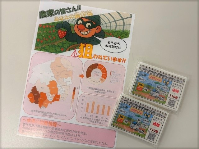 チラシ及びポケットティッシュ