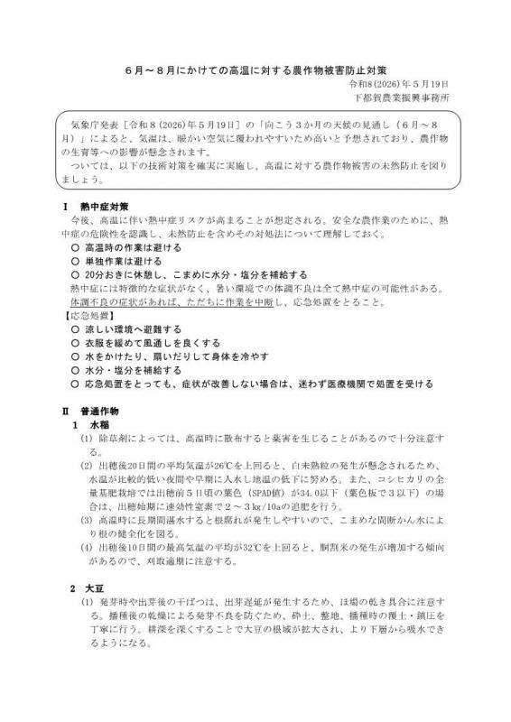高温対策技術