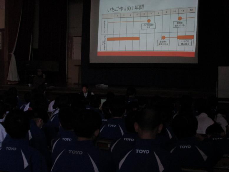 年間のいちごの栽培の説明