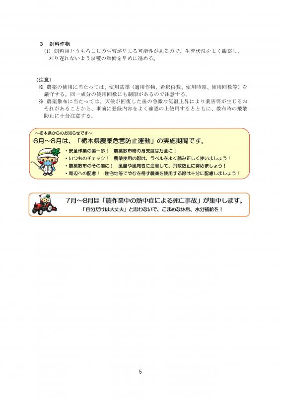 060725_7月下旬から8月にかけての高温に対する農作物技術対策5