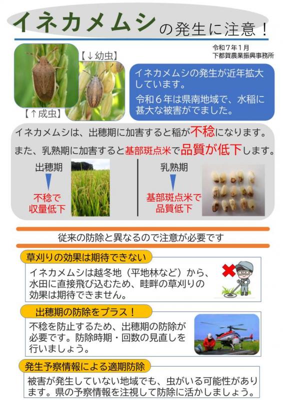 イネカメムシ注意喚起_表