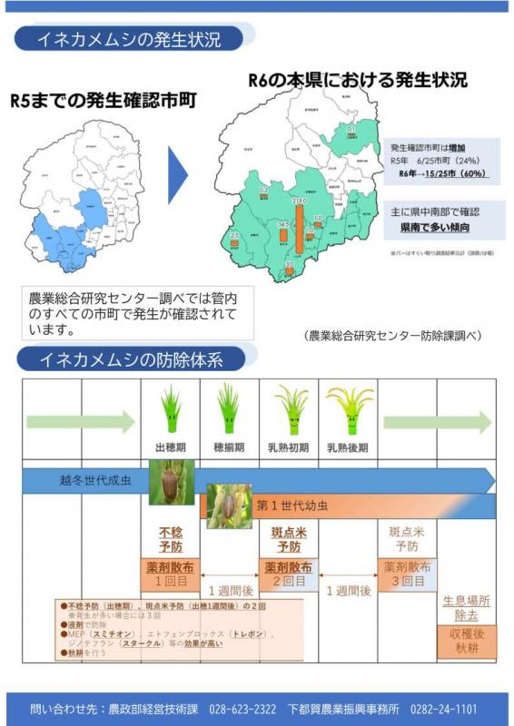 イネカメムシ注意喚起_裏