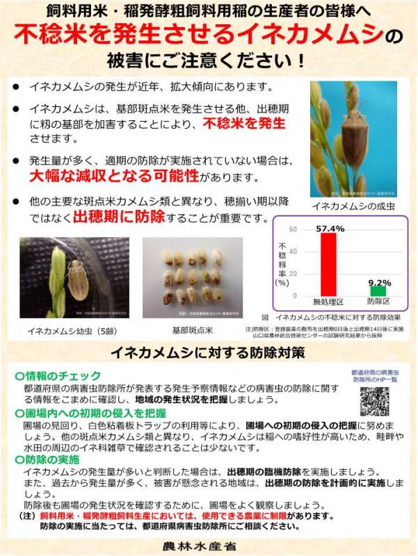 イネカメムシパンフレット2