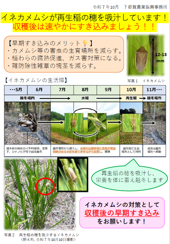 秋耕